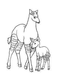 Okapi with a cub coloring page