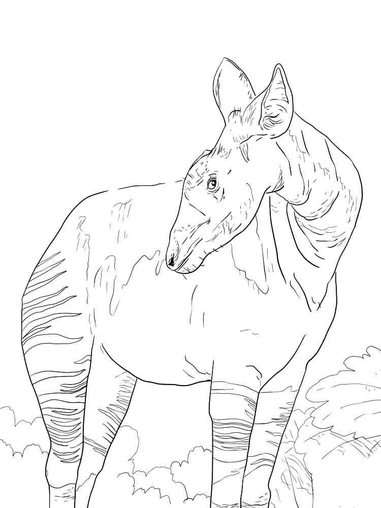 Realistic Okapi coloring page