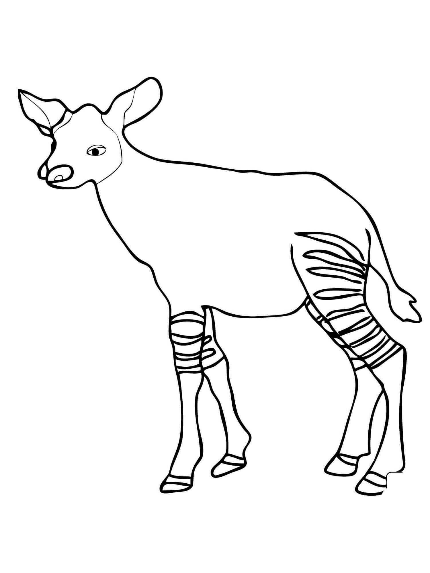 Funny Okapi coloring page