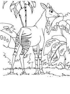 Okapi from Central Africa coloring page