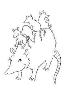 Opossum Family coloring page