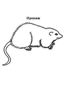 Easy Opossum coloring page