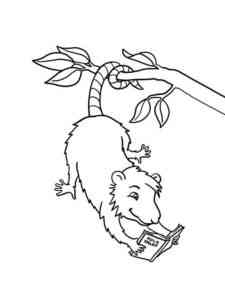 Opossum reads a book coloring page
