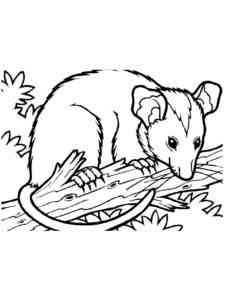 Funny Opossum coloring page