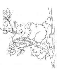 Cartoon Opossum coloring page