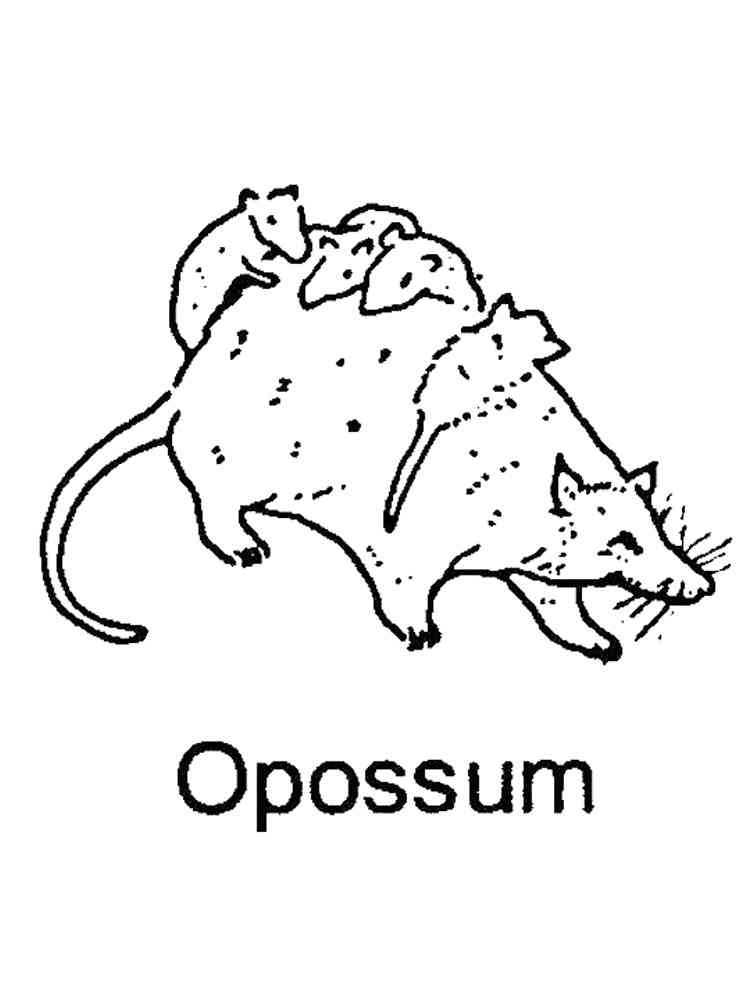 Opossum with cubs coloring page