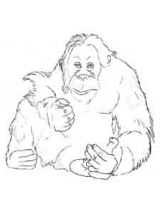 Realistic Orangutan coloring page