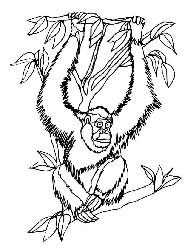 Orangutan on a tree coloring page