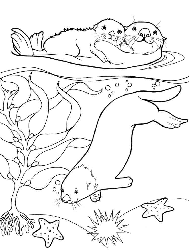 Otters in the River coloring page