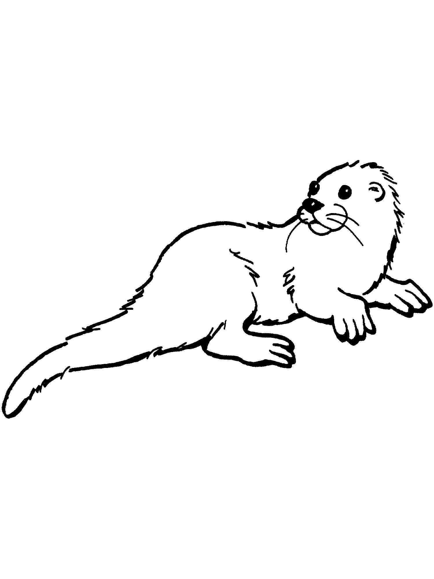 Eurasian Otter coloring page