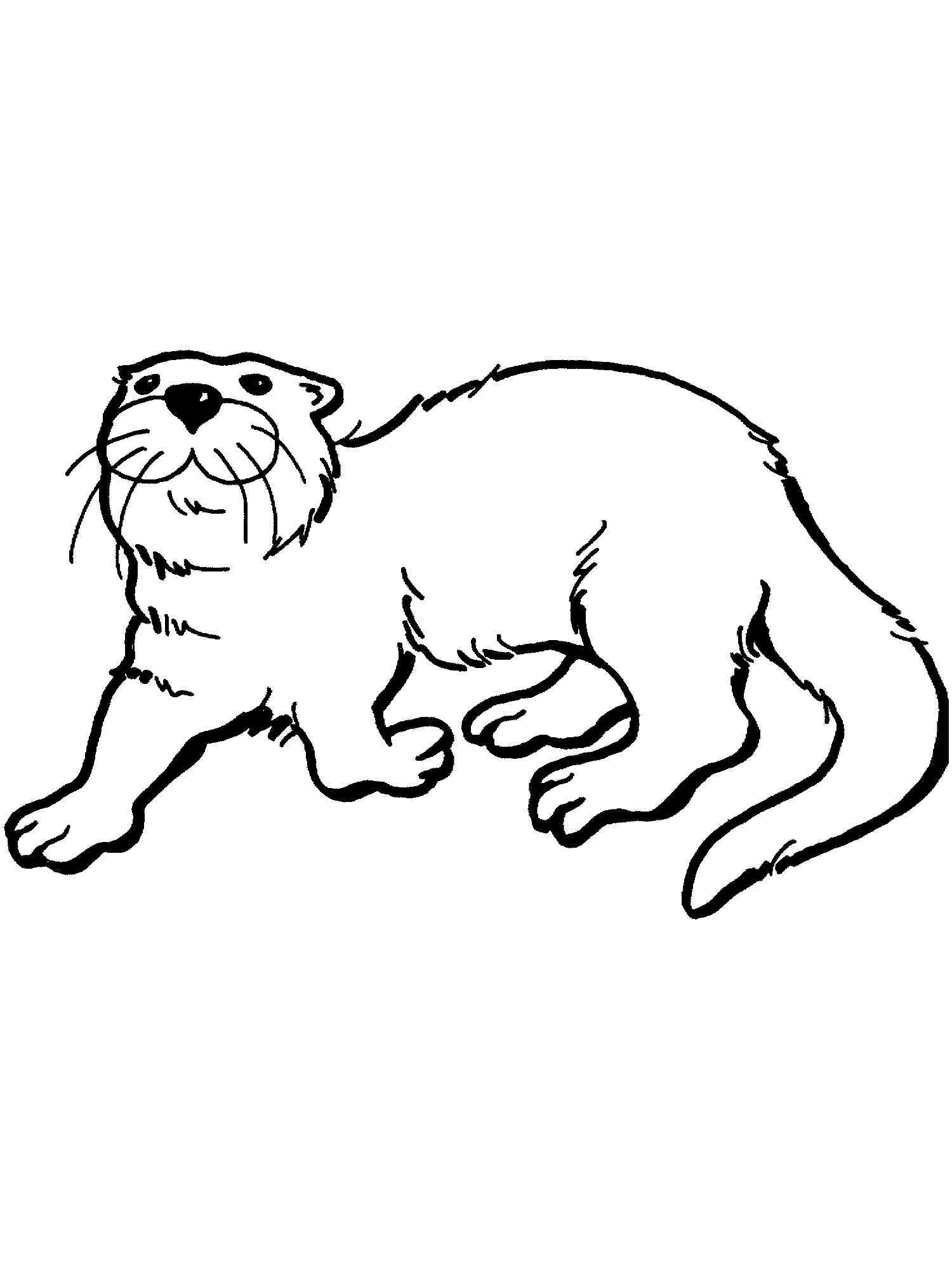 Funny Otter coloring page