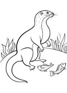 Otter caught fish coloring page