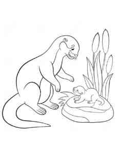 Otter and cub coloring page