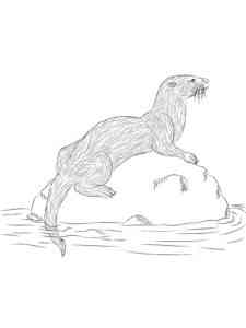 Realistic Otter coloring page
