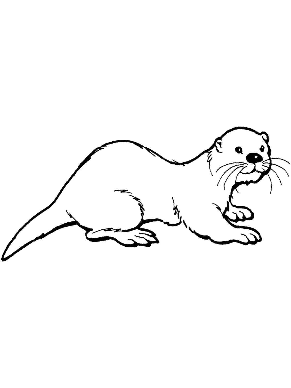 Easy Otter coloring page