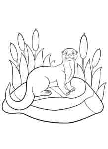 Otter in the Reeds coloring page