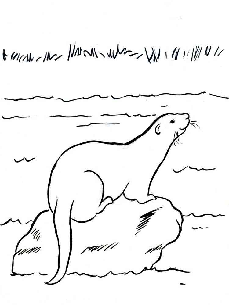 Otter on the Stone coloring page