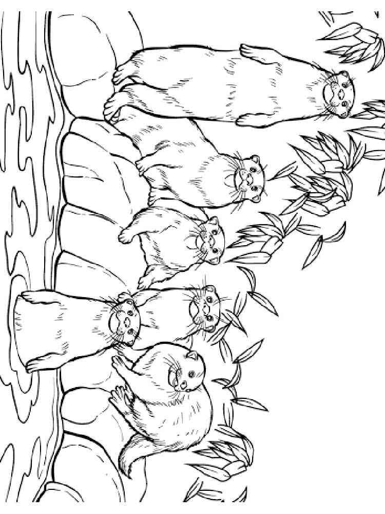 Otters Famaly coloring page