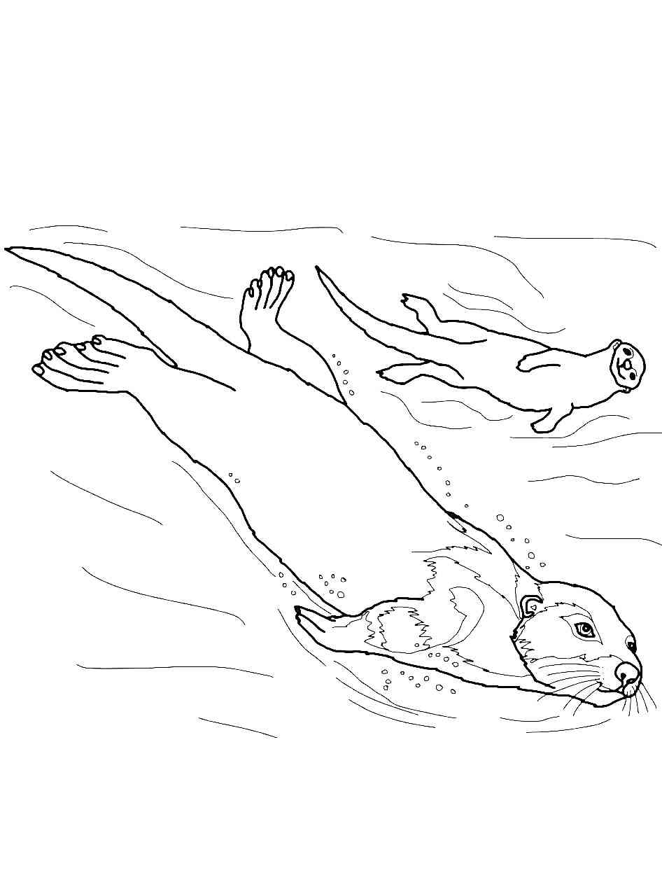 Two Otters Underwater coloring page
