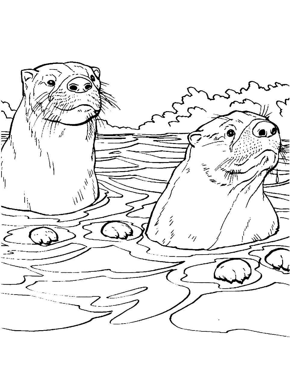 Two Otters in the River coloring page