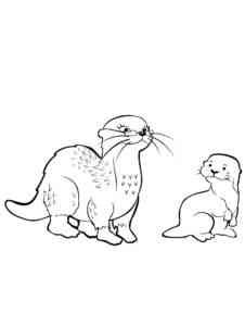 Otter and baby Otter coloring page