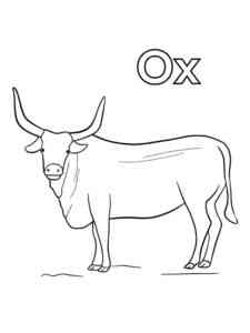 Realistic Ox coloring page