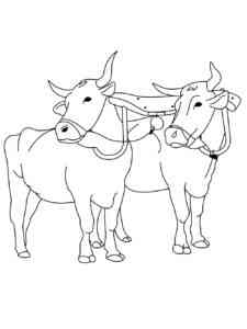Two Ox coloring page