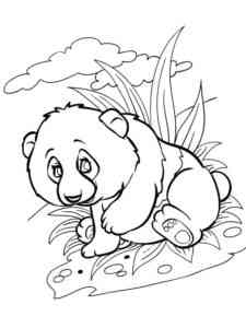 Little Panda coloring page