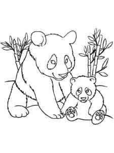Panda with a cub coloring page
