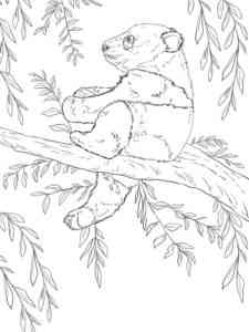 Panda sits in a tree coloring page