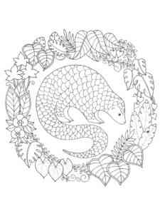 Pangolin and leaves coloring page