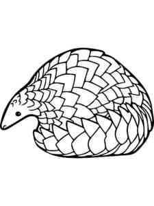 Giant Pangolin coloring page