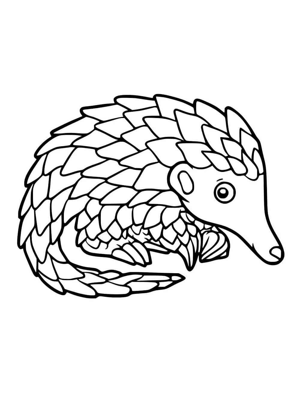 Little Pangolin coloring page