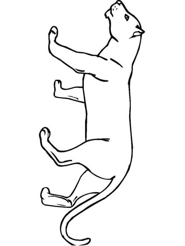 Simple Panther coloring page