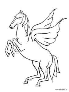Easy Pegasus coloring page