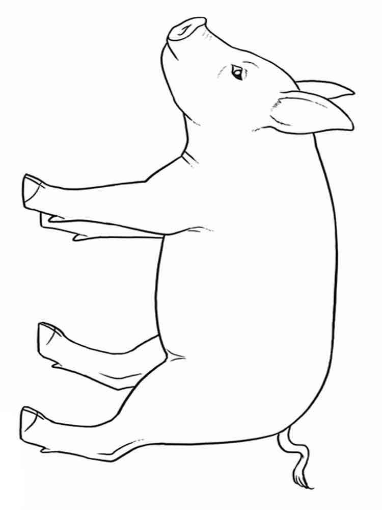 Easy Pig 2 coloring page