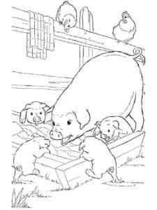 Pig and piglets eating coloring page