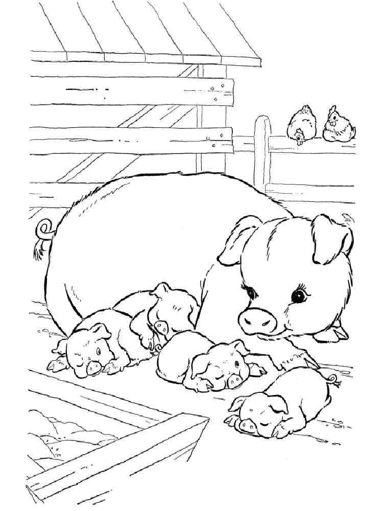 Pig and Piglets coloring page