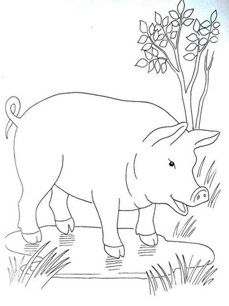 Pig in Puddle coloring page