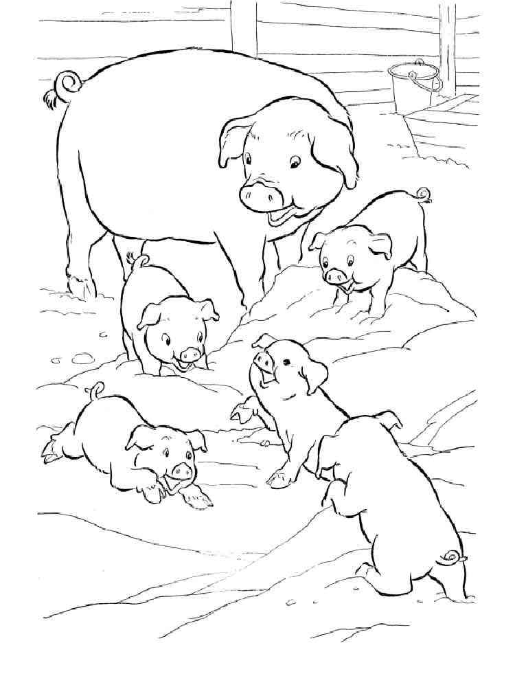 Family of Pigs coloring page