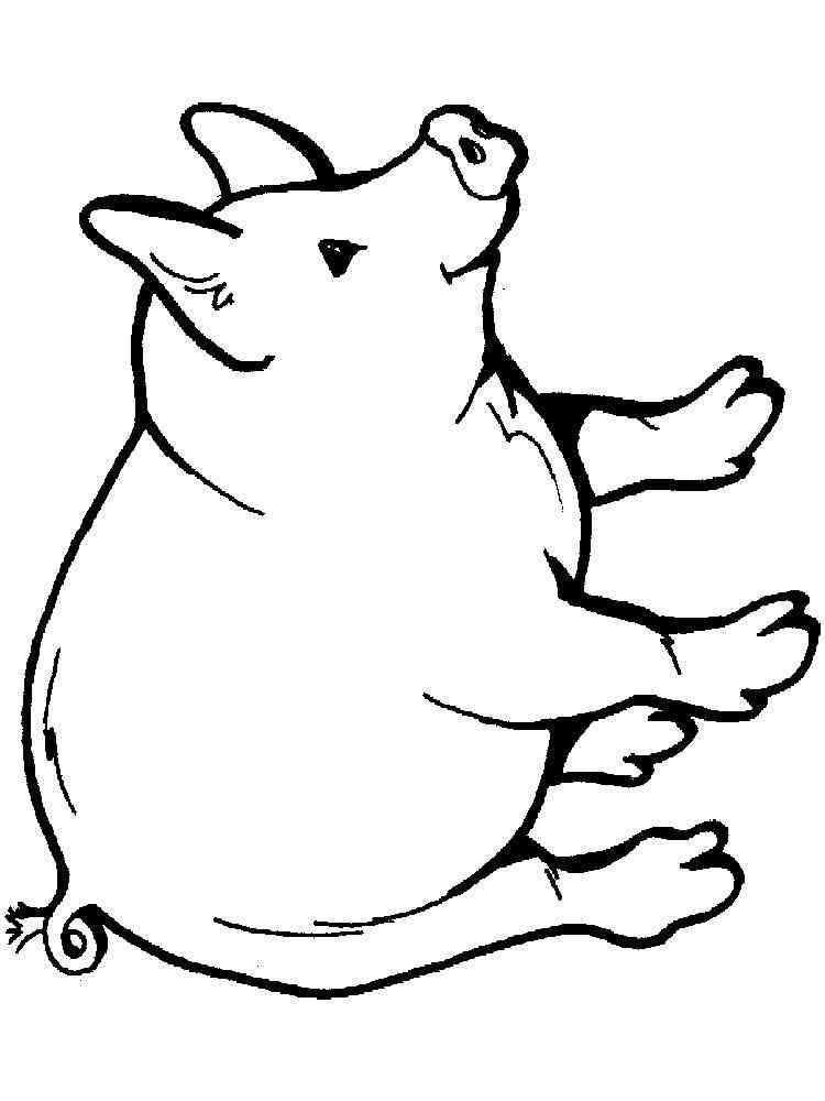 Simple Pig coloring page