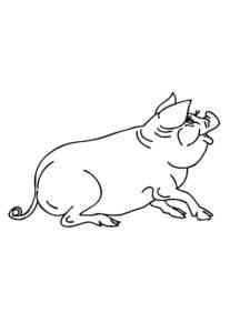 Pig lying down coloring page