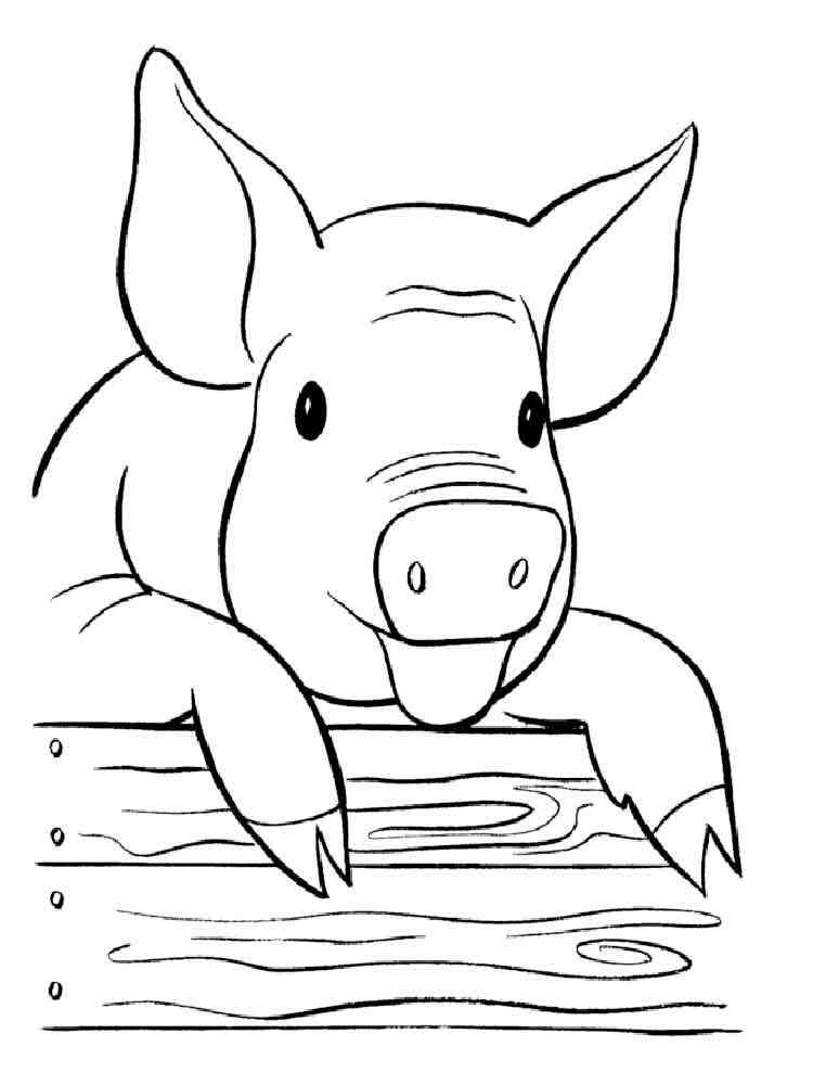 Piglet portrait coloring page