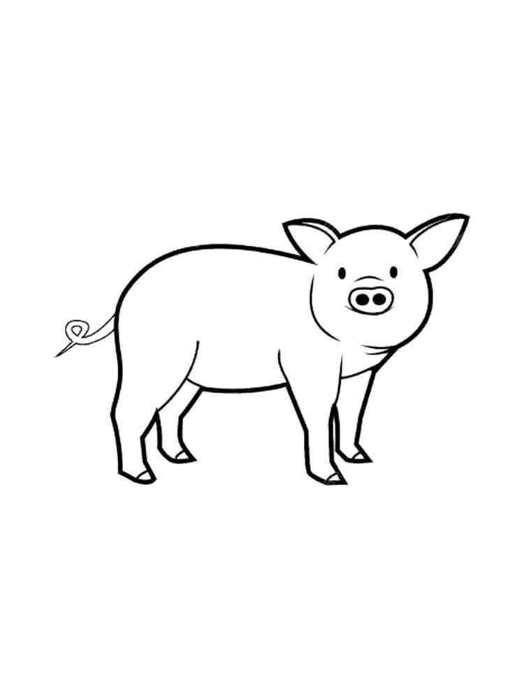 Young Pig coloring page