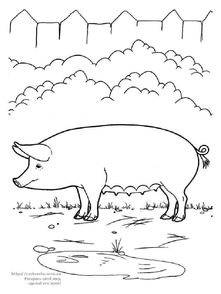 Big Pig coloring page