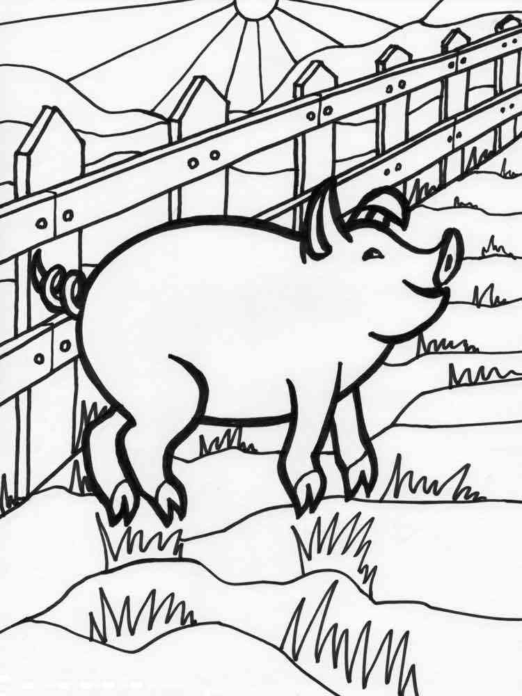 Pig walking on the farm coloring page