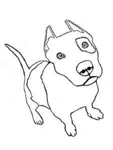 Easy Pitbull coloring page