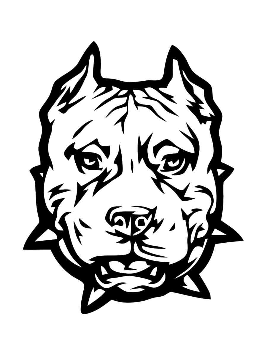 Pitbull Face coloring page