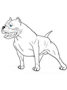 Simple Pitbull coloring page