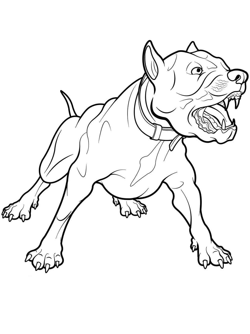 Angry Pitbull coloring page